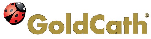 καθετήρες goldencath